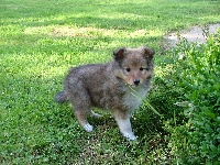 Maryworld's Little Maya
